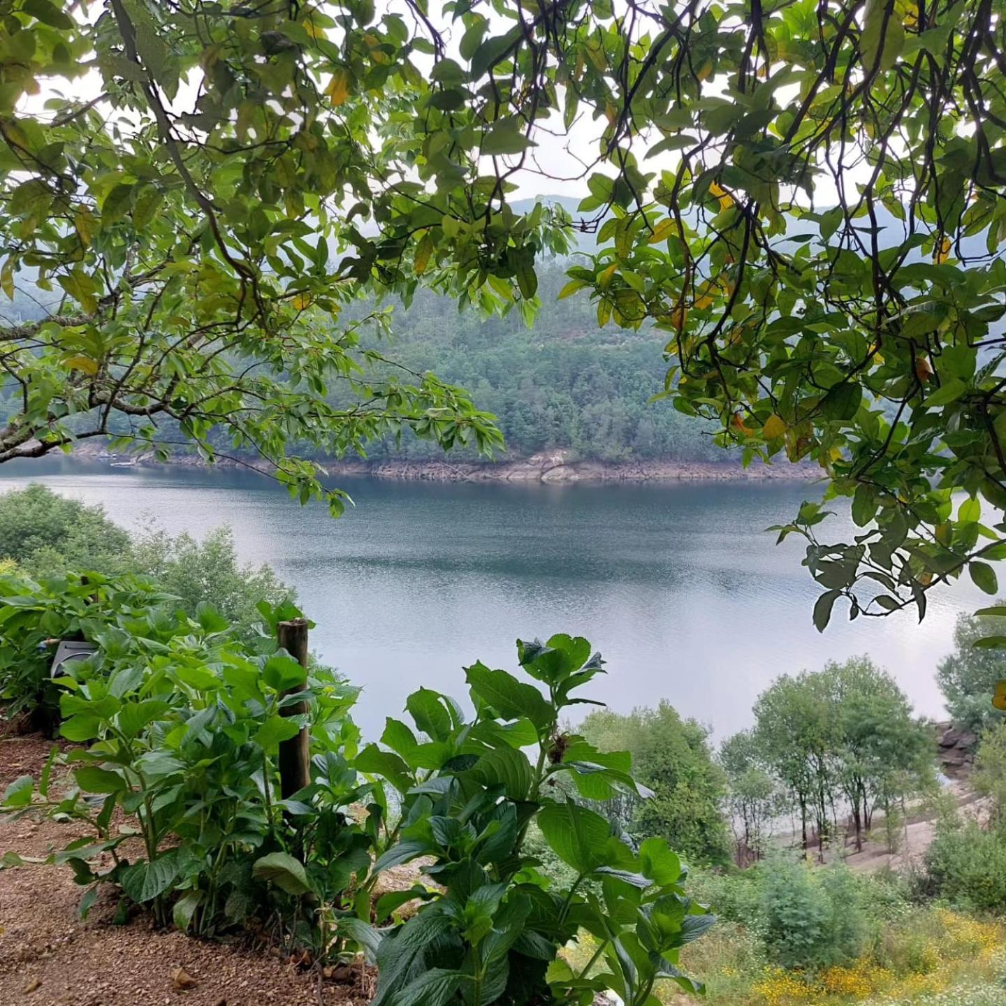 Casa Do Penedo - Quinta De Fundevilla جيريز المظهر الخارجي الصورة